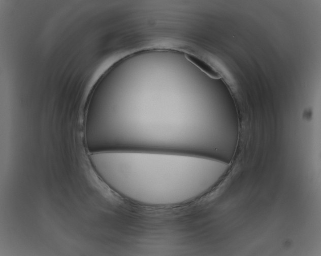 X0000093520948200710121125