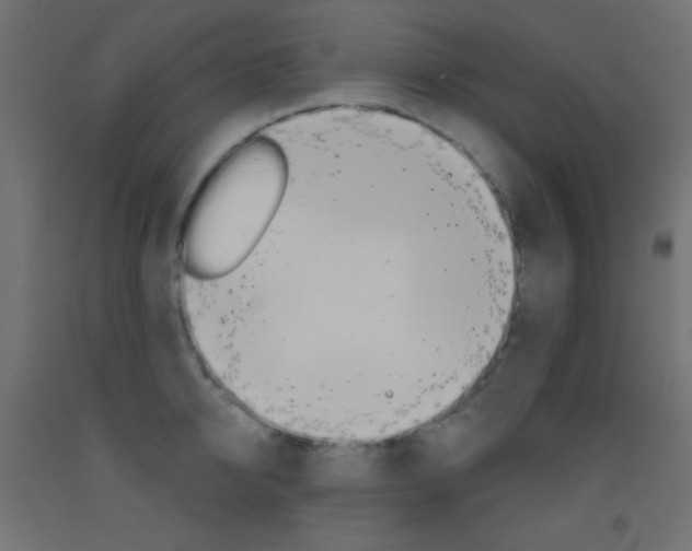 X0000093520950200710121125