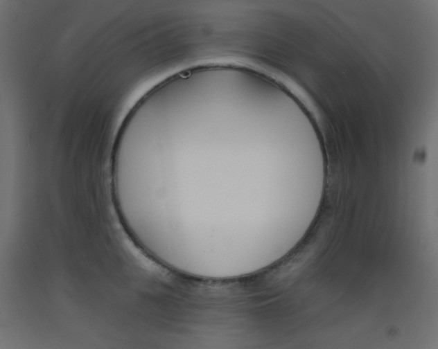 X0000093520951200710121125