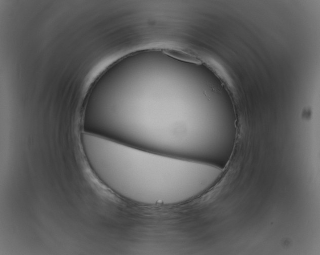 X0000093520952200710121125