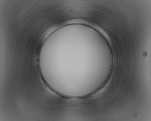 X0000093520953200710121125