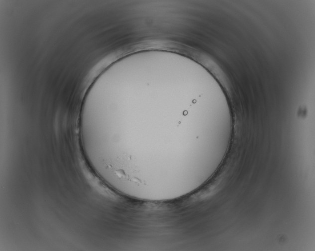 X0000093520954200710121125