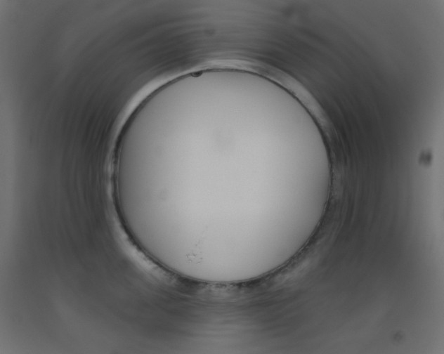 X0000093520955200710121125