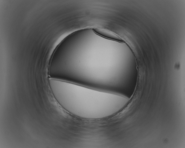 X0000093520956200710121125