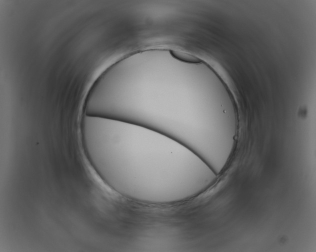 X0000093520957200710121125