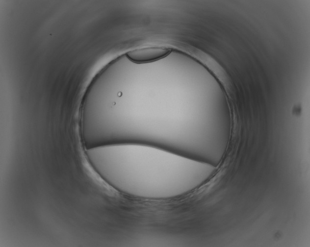 X0000093520958200710121125