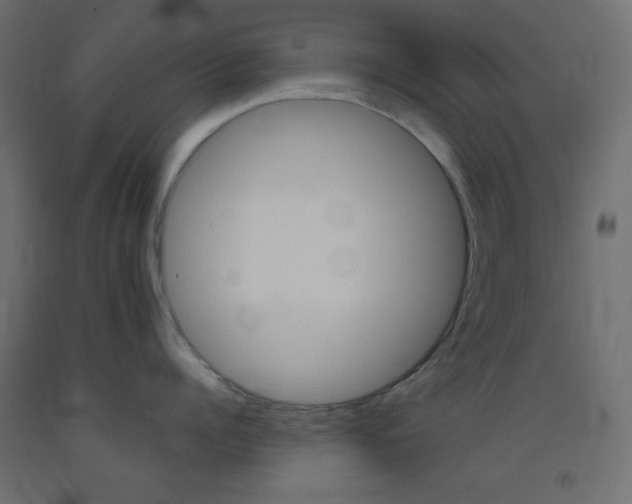 X0000093520960200710121125