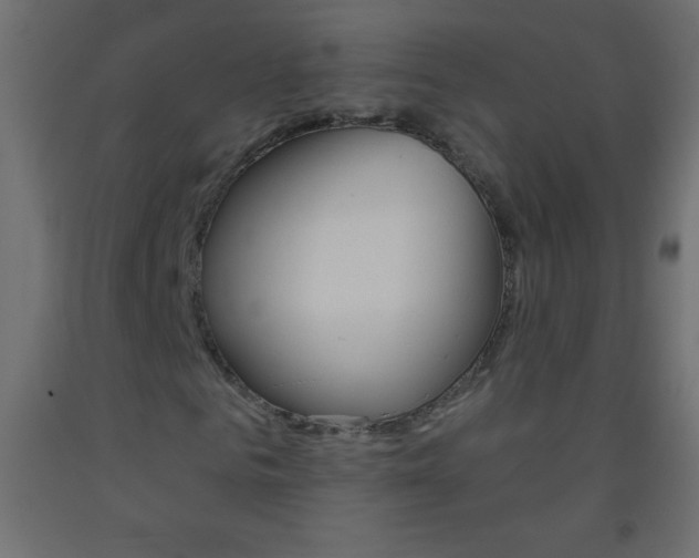 X0000093520961200710121124