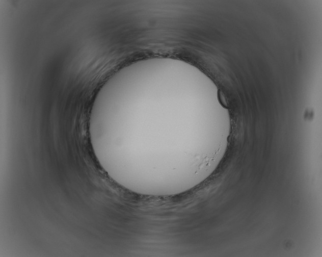 X0000093520962200710121124