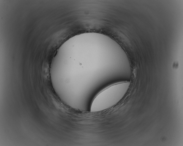 X0000093520963200710121124