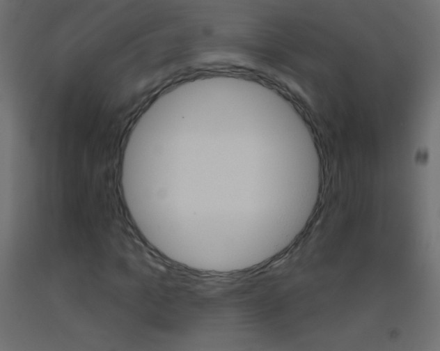 X0000093520965200710121124