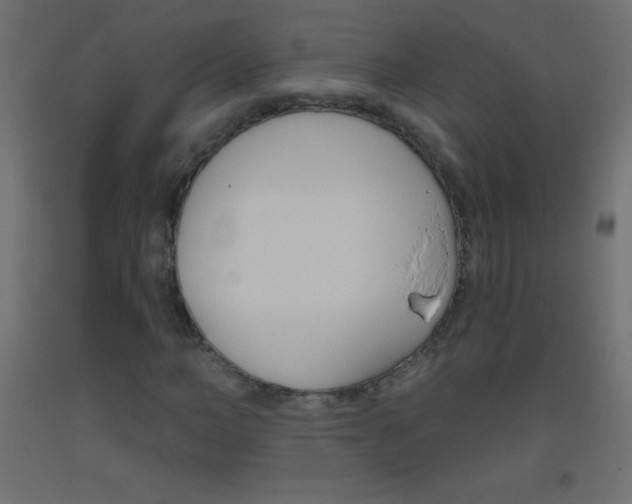 X0000093520966200710121124
