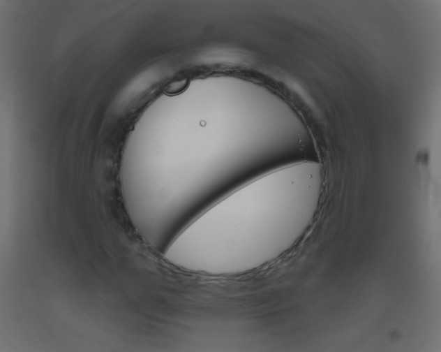 X0000093520967200710121124