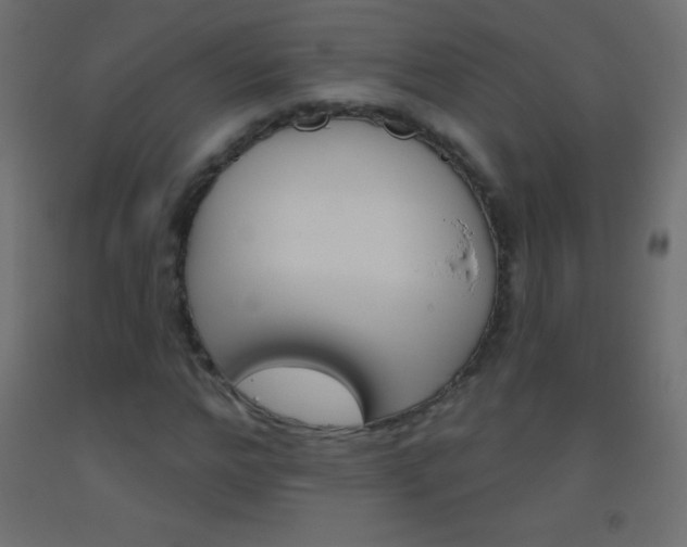 X0000093520968200710121124