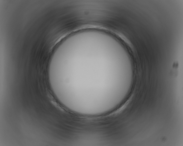 X0000093520969200710121124