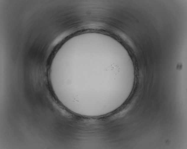 X0000093520970200710121124