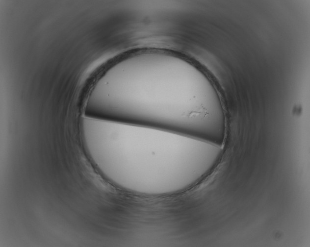 X0000093520971200710121124