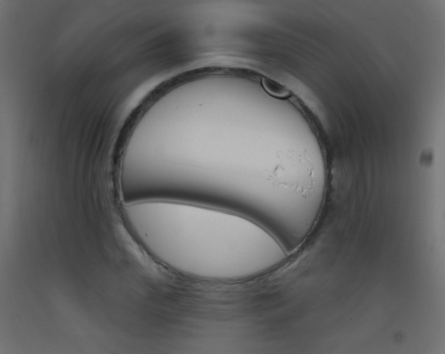 X0000093520972200710121124