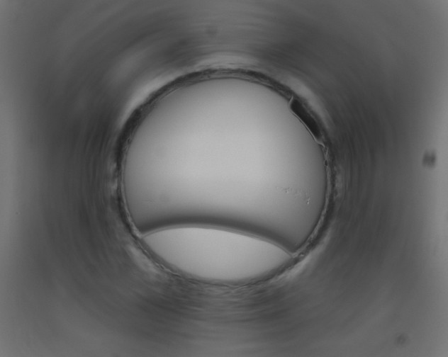 X0000093520973200710121124