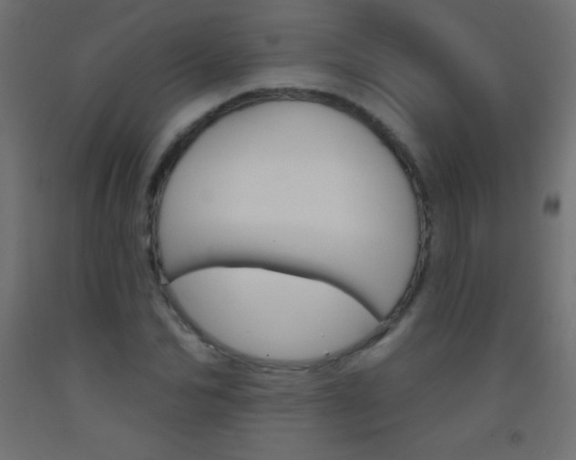 X0000093520974200710121124