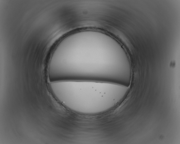 X0000093520975200710121124