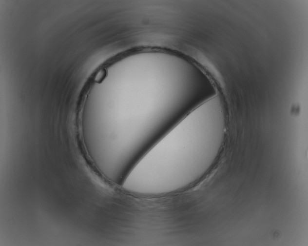 X0000093520976200710121124