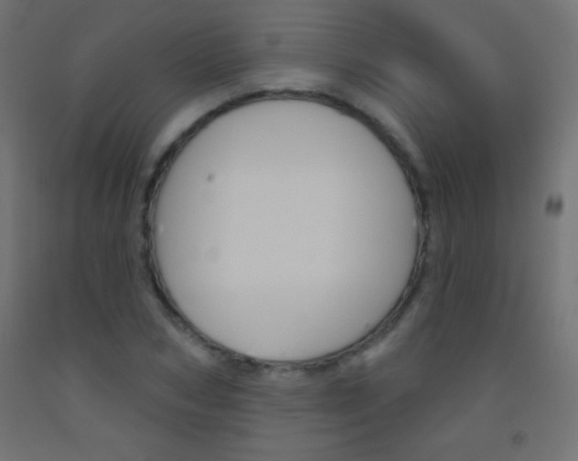 X0000093520978200710121124