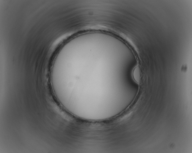 X0000093520979200710121124