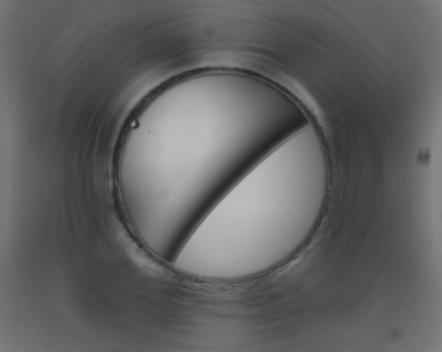 X0000093520980200710121124