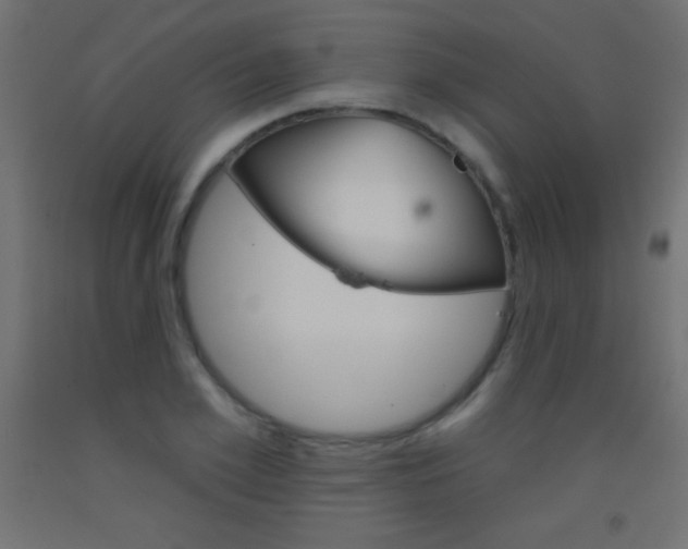 X0000093520981200710121124