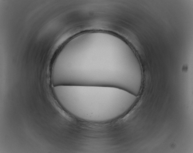 X0000093520982200710121124