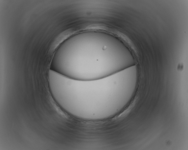 X0000093520985200710121124