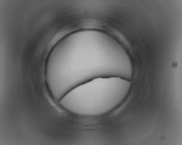 X0000093520986200710121124
