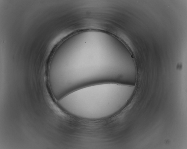 X0000093520987200710121124