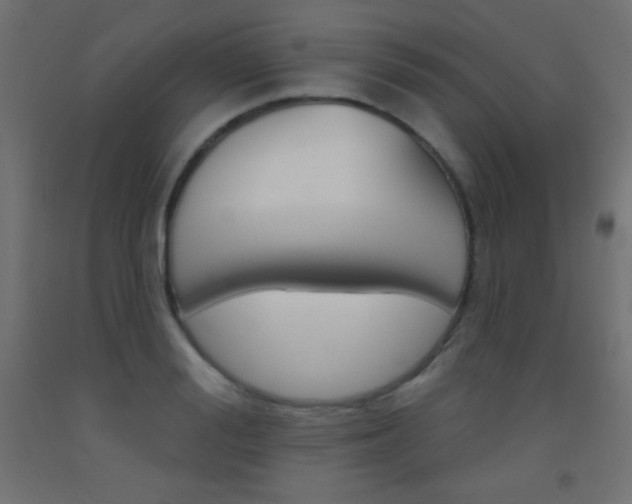 X0000093520988200710121124