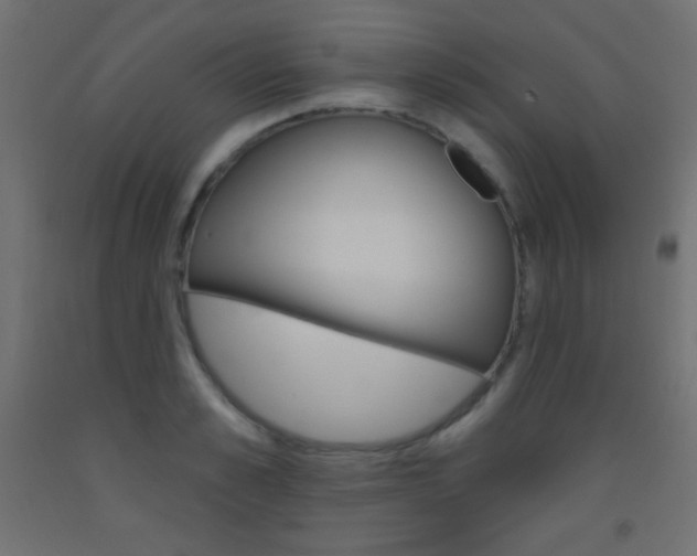 X0000093520989200710121124