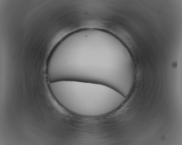 X0000093520990200710121124