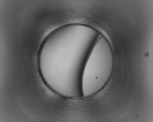 X0000093520991200710121124