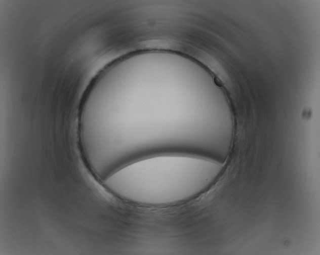 X0000093520992200710121124
