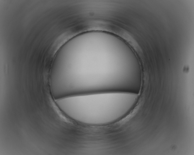 X0000093520993200710121124