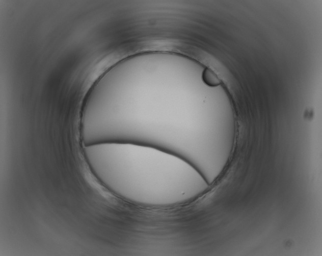X0000093520994200710121124