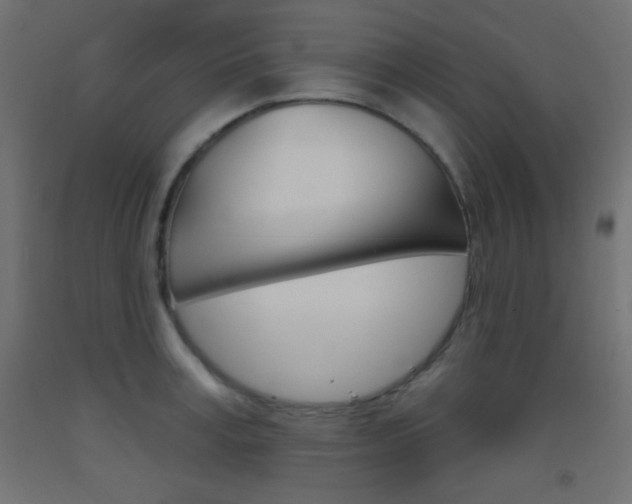 X0000093520995200710121124