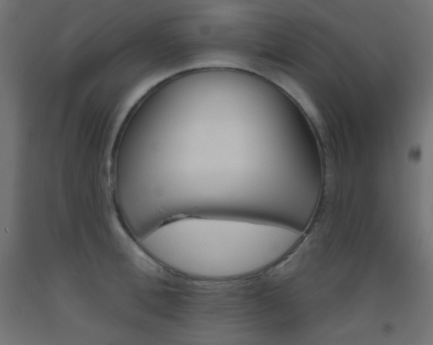 X0000093520996200710121124