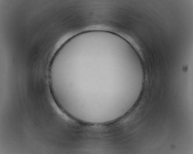X0000093520998200710121124