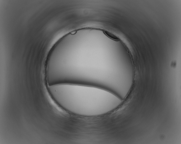 X0000093520999200710121124