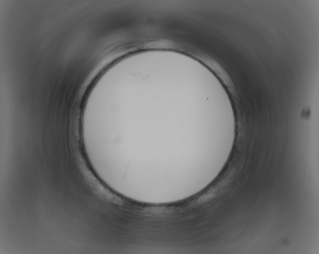 X0000093521000200710121124