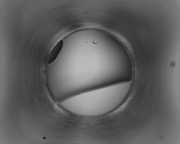 X0000093521001200710121124