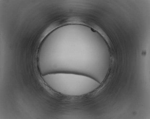 X0000093521002200710121124