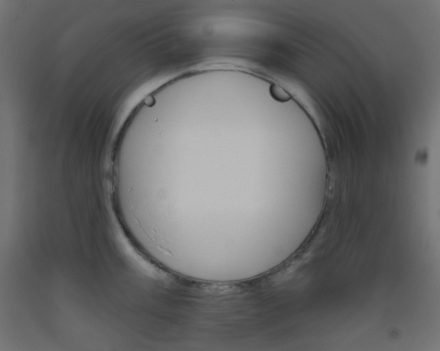X0000093521003200710121124