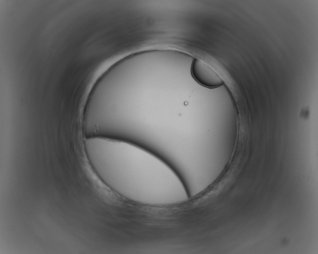 X0000093521004200710121124